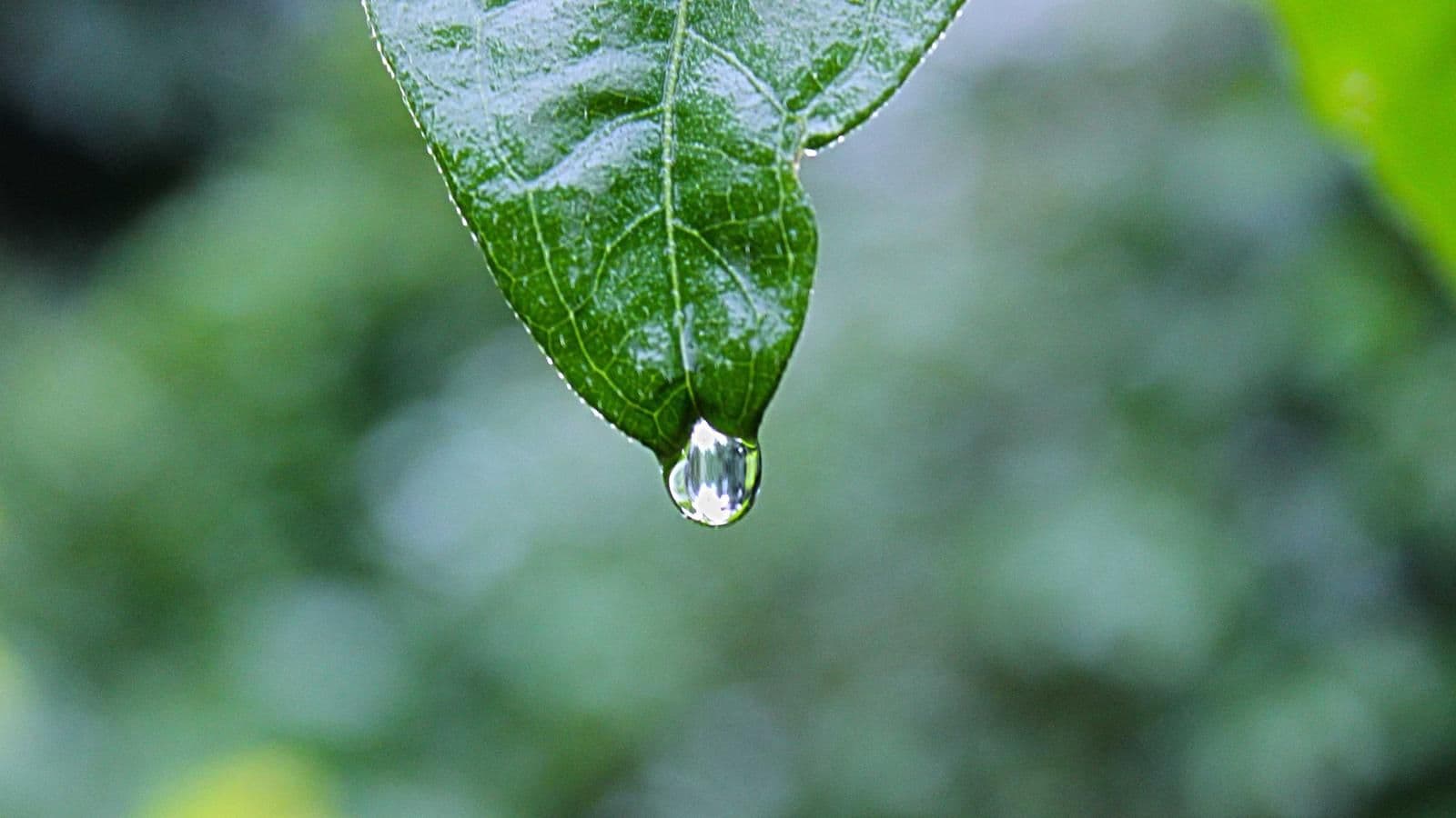 उत्पादन सूचकांकमा सामान्य सुधार