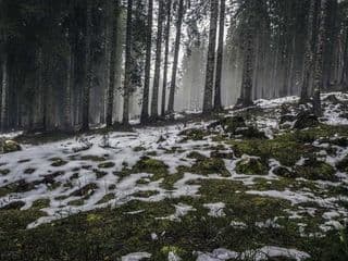 इलेक्ट्रिक गाडीको माग बढ्दो: वार्षिक बिक्री ४० प्रतिशत वृद्धि