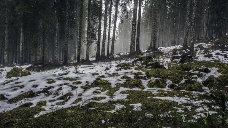 इलेक्ट्रिक गाडीको माग बढ्दो: वार्षिक बिक्री ४० प्रतिशत वृद्धि