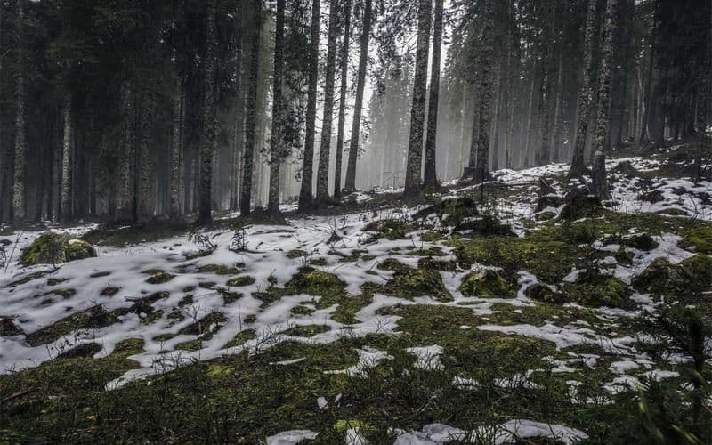 इलेक्ट्रिक गाडीको माग बढ्दो: वार्षिक बिक्री ४० प्रतिशत वृद्धि