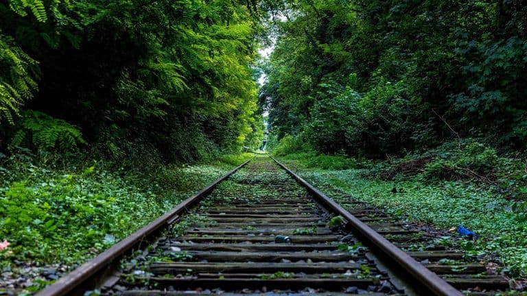 गठबन्धन दलहरूले नीतिगत एकता पुनः पुष्टि गरे
