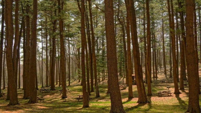 लघुवित्त कार्यक्रम नयाँ जिल्लामा विस्तार