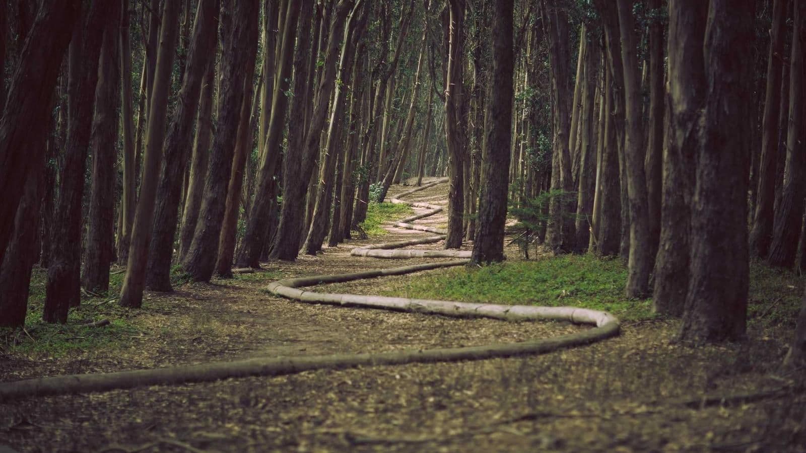 यात्रा ब्लगहरूले हप्ताका गन्तव्य देखाए
