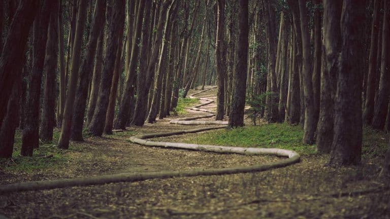 यात्रा ब्लगहरूले हप्ताका गन्तव्य देखाए