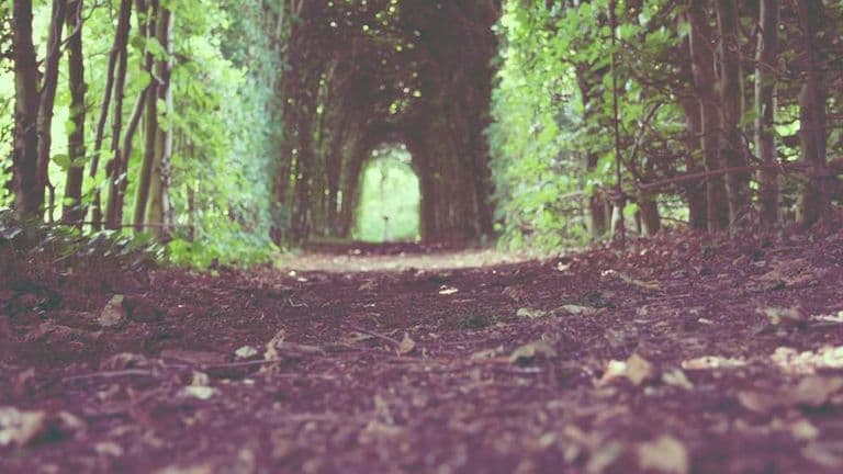 विवादका बीच लम्कीचुहा प्रादेशिक अस्पताल उद्घाटन